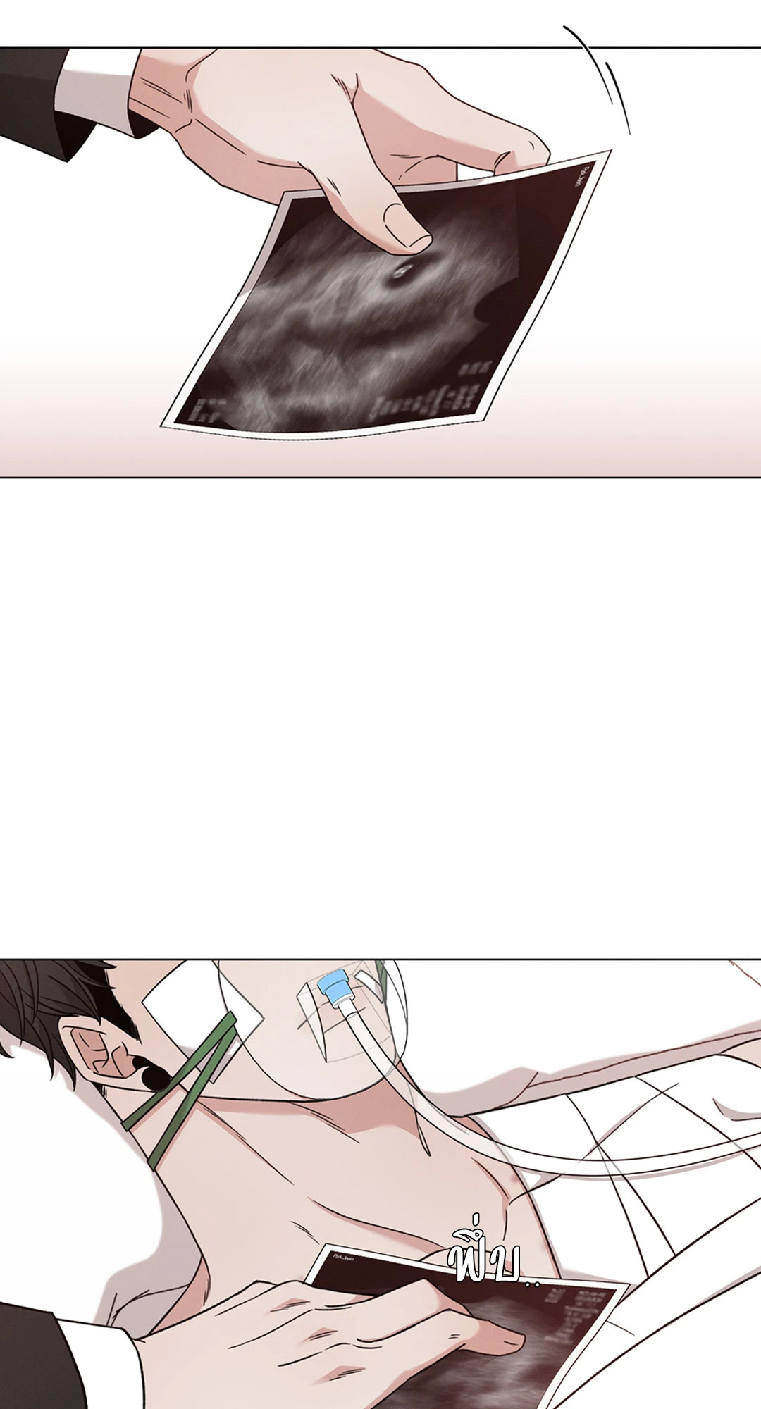หน้า 43