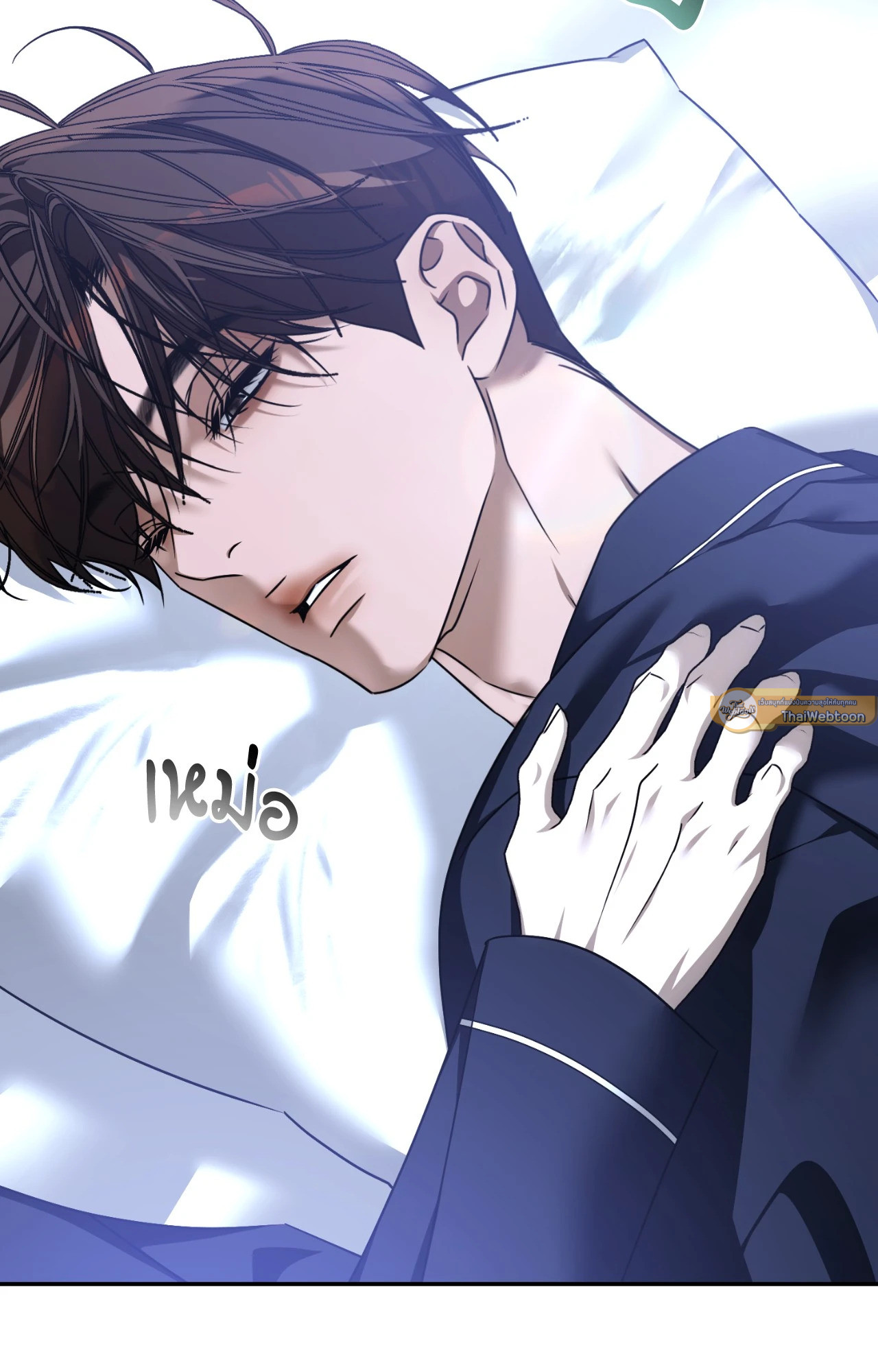 หน้า 11