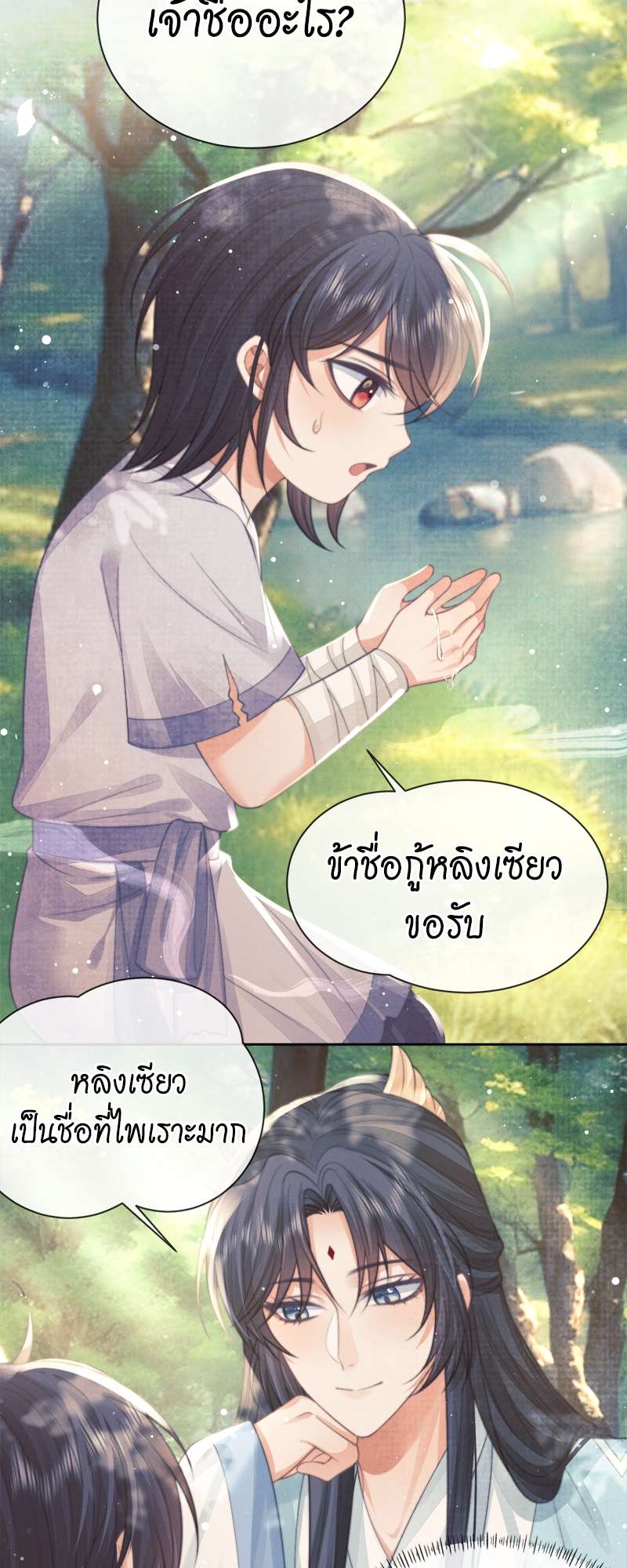 หน้า 29