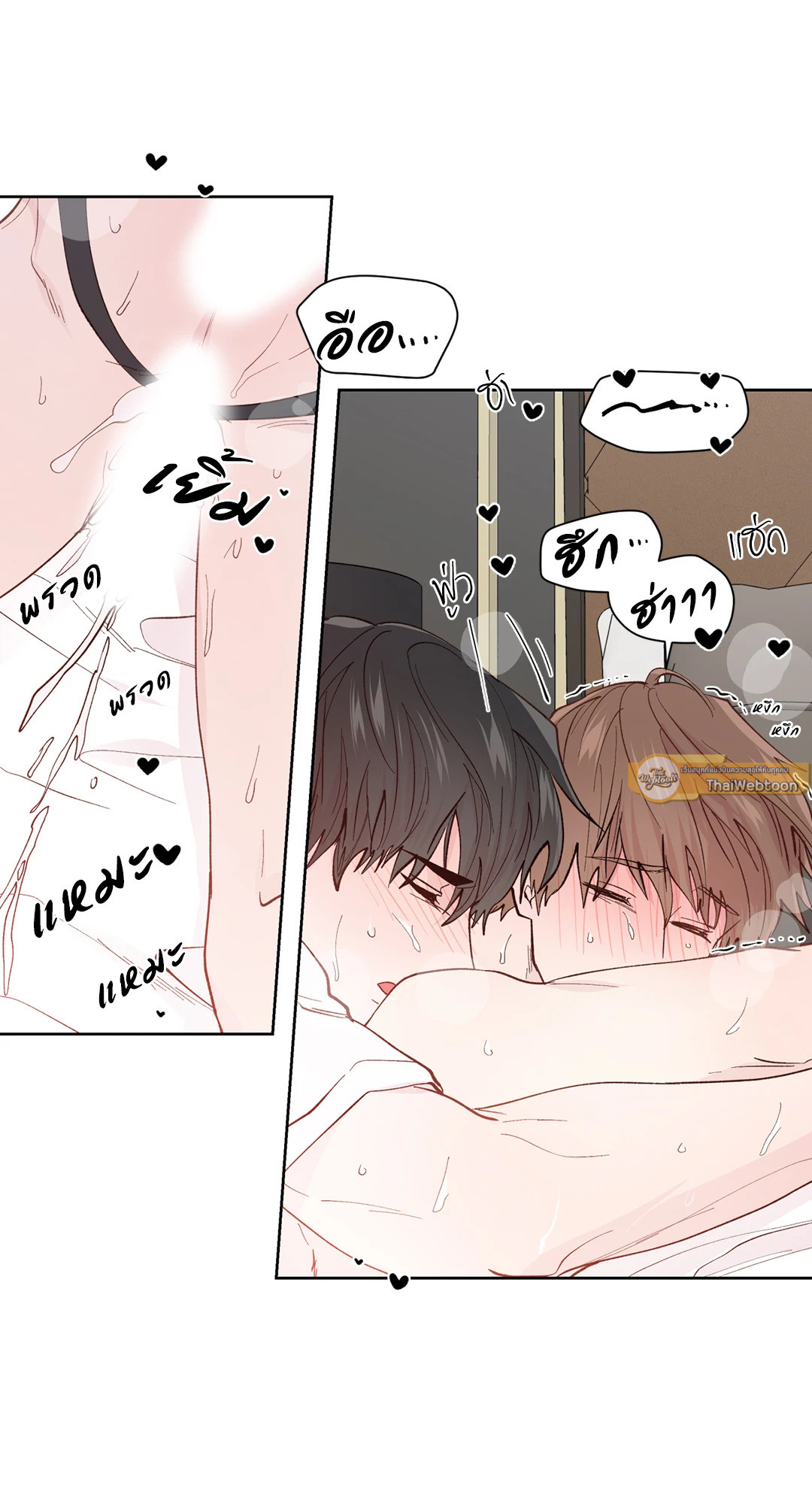 หน้า 43