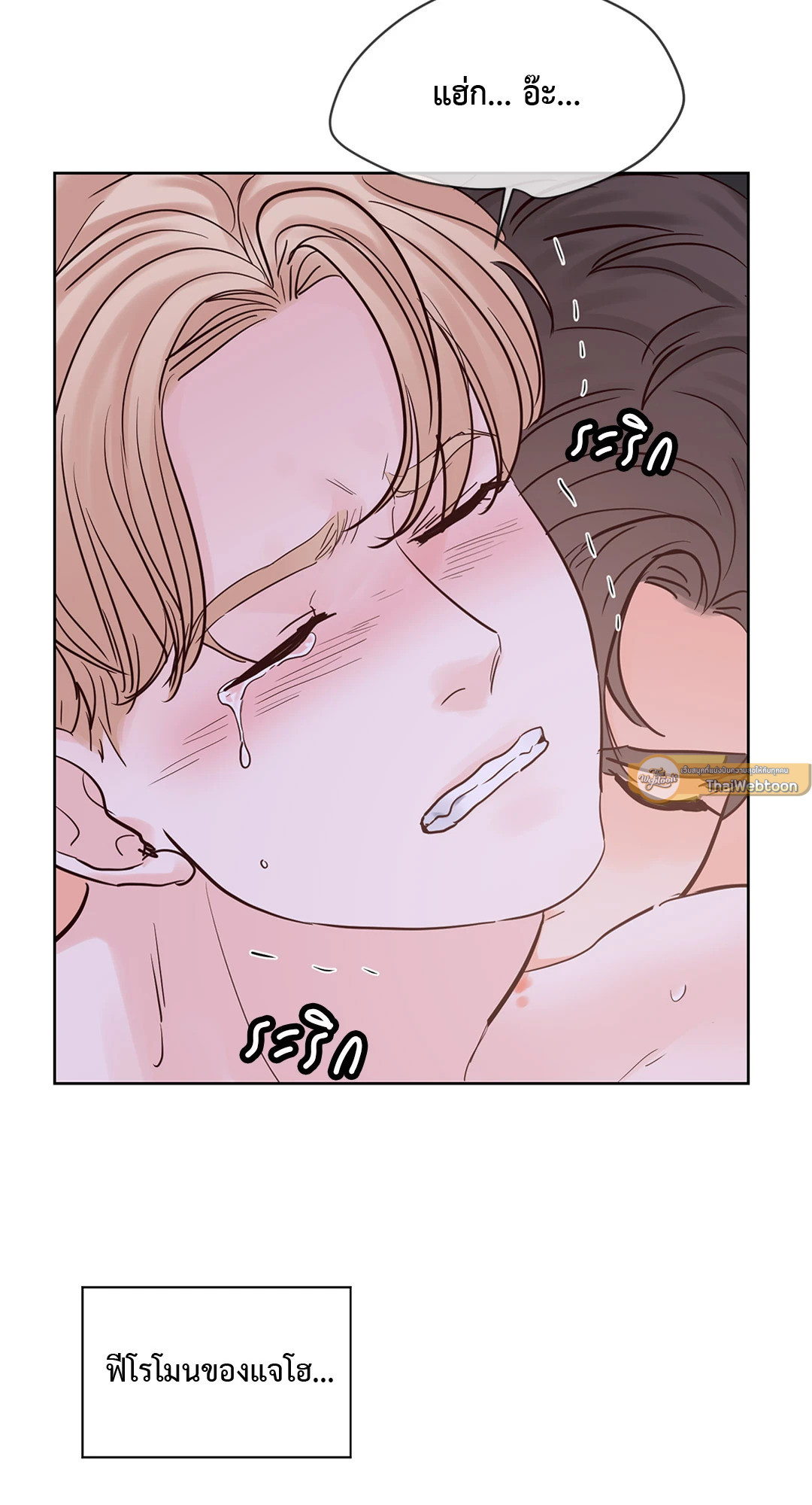 หน้า 43