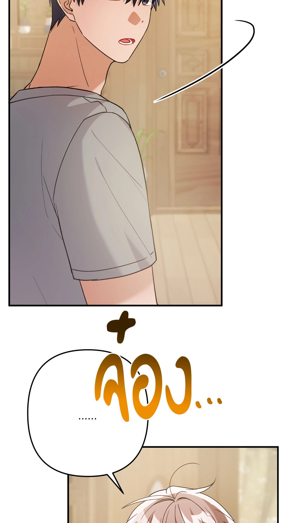 หน้า 43