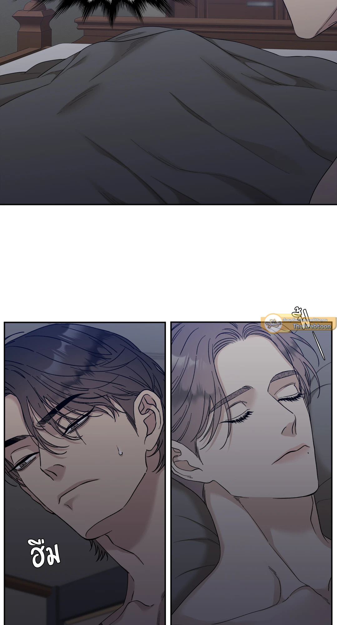 หน้า 43