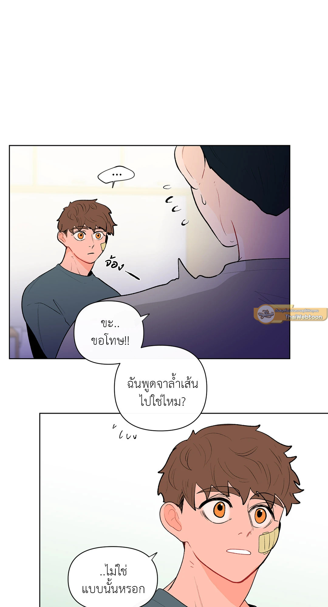 หน้า 43