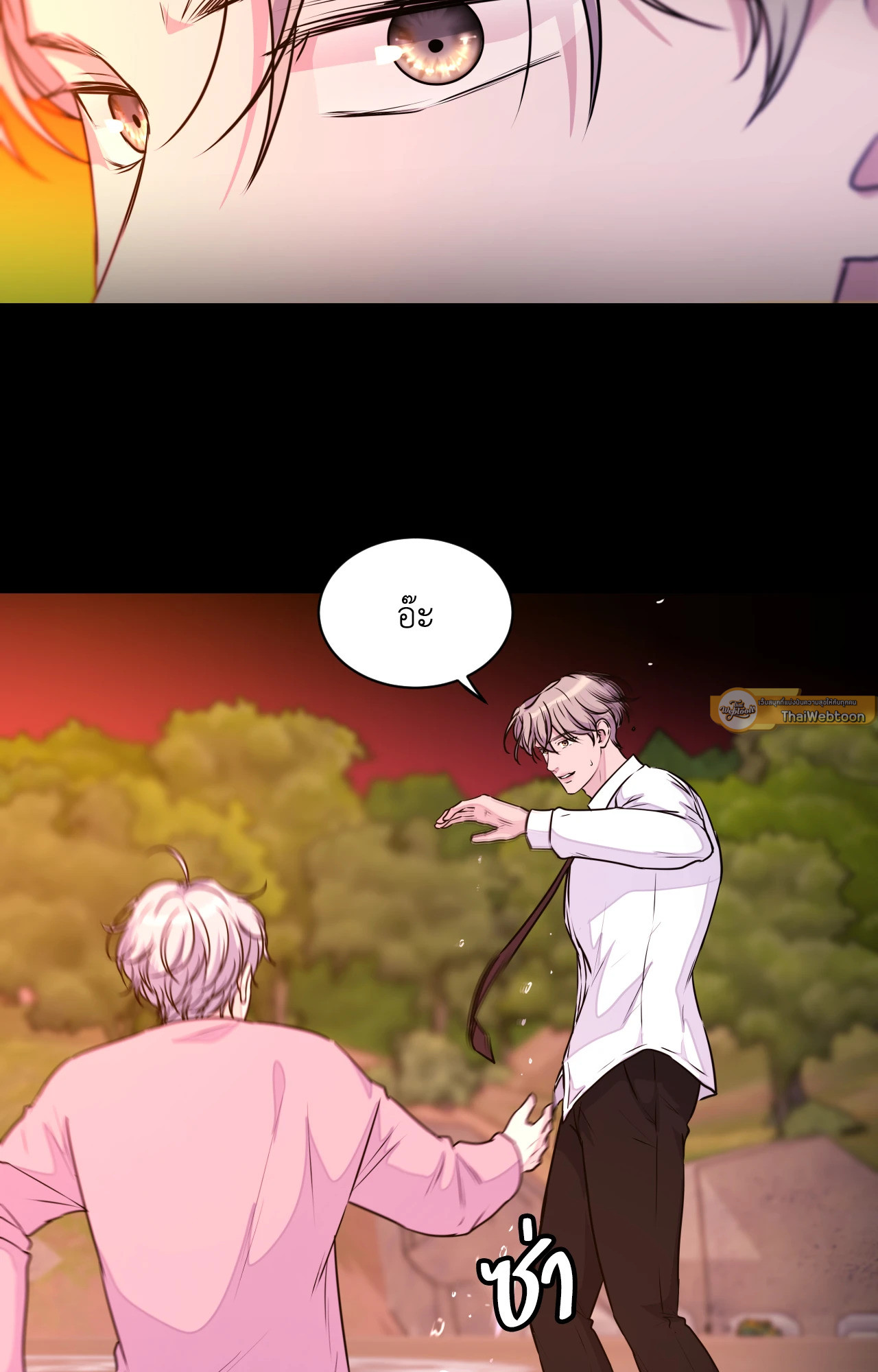 หน้า 117