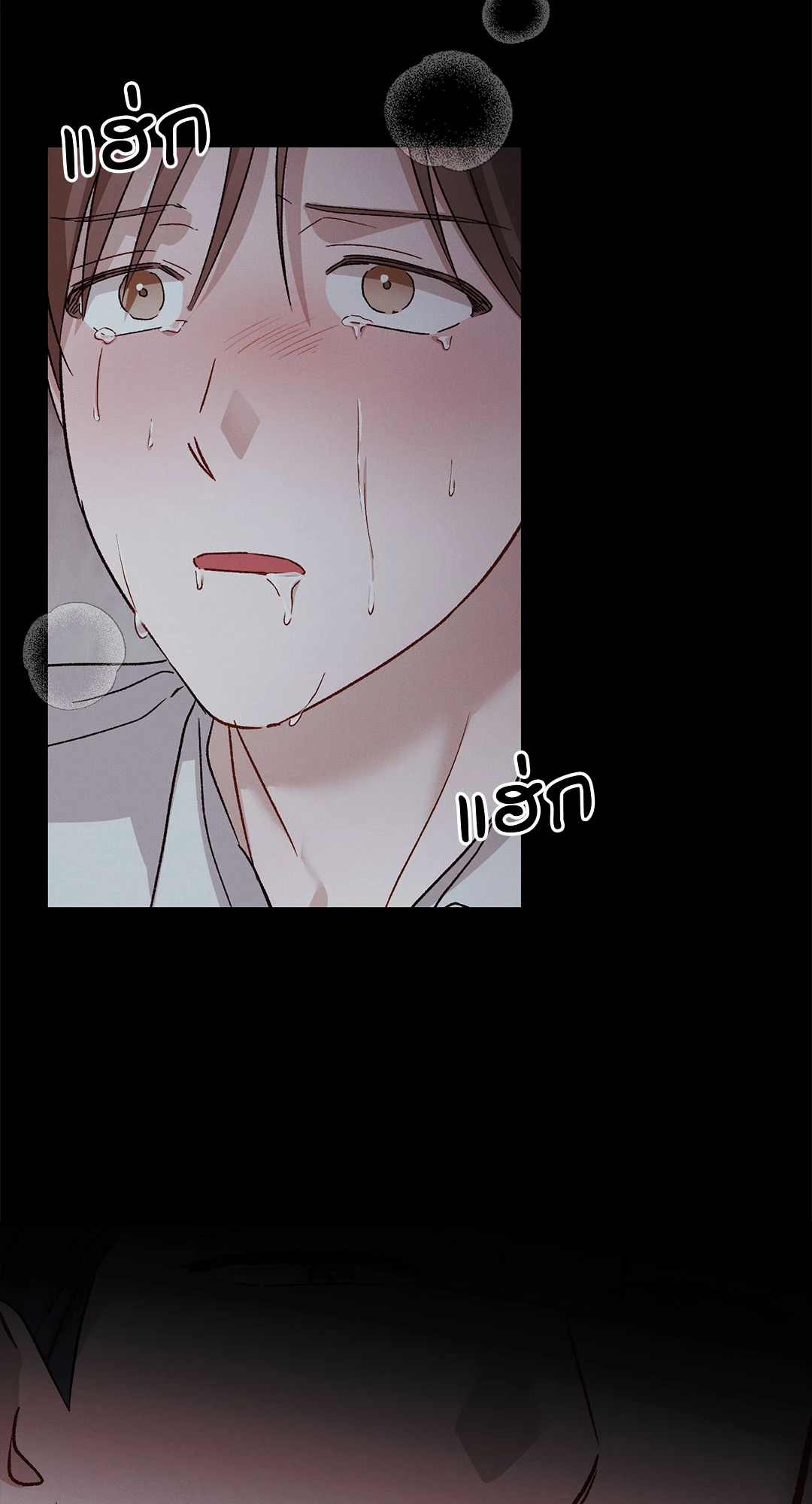 หน้า 46