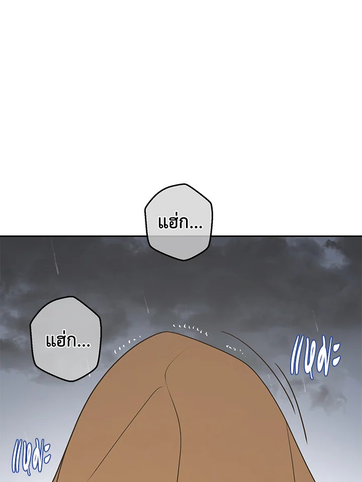 หน้า 102