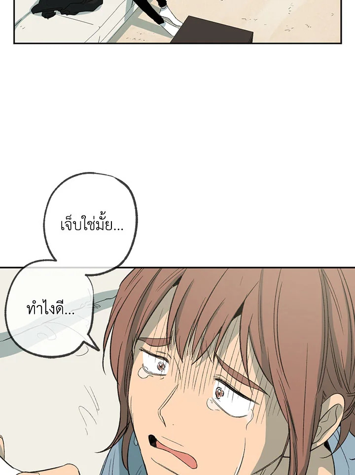 หน้า 29