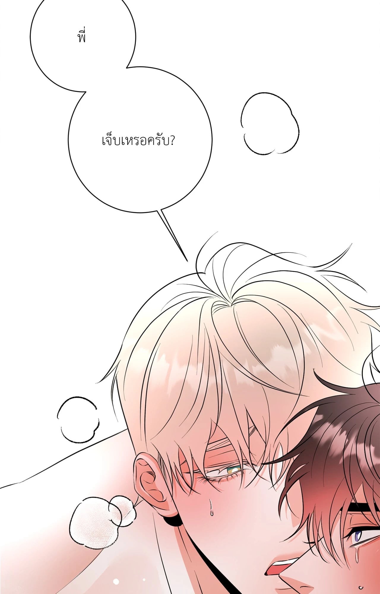 หน้า 48