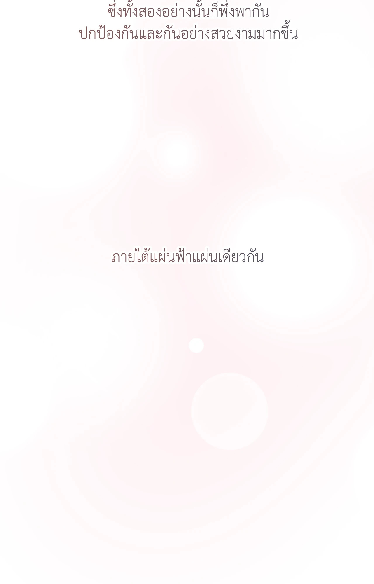 หน้า 117