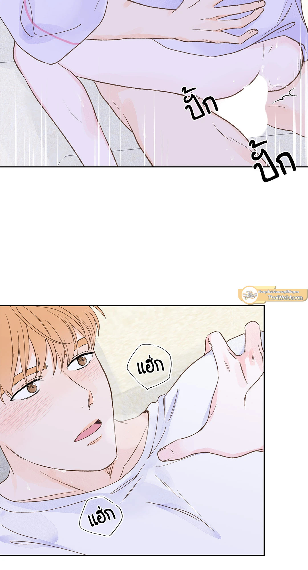 หน้า 43