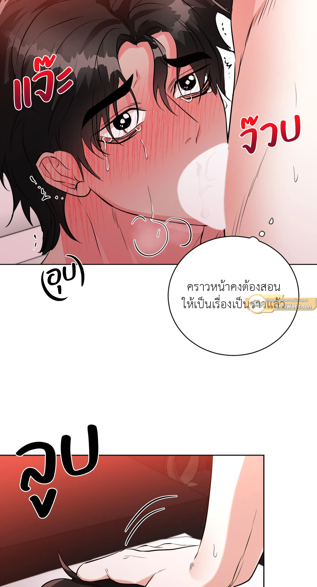หน้า 30