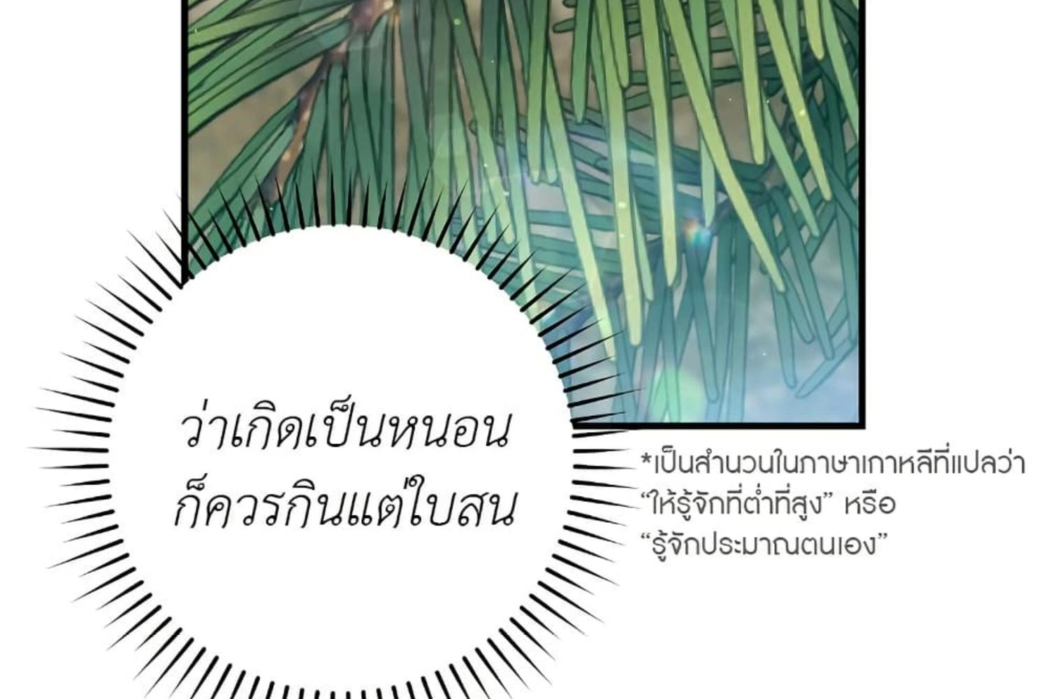 หน้า 117