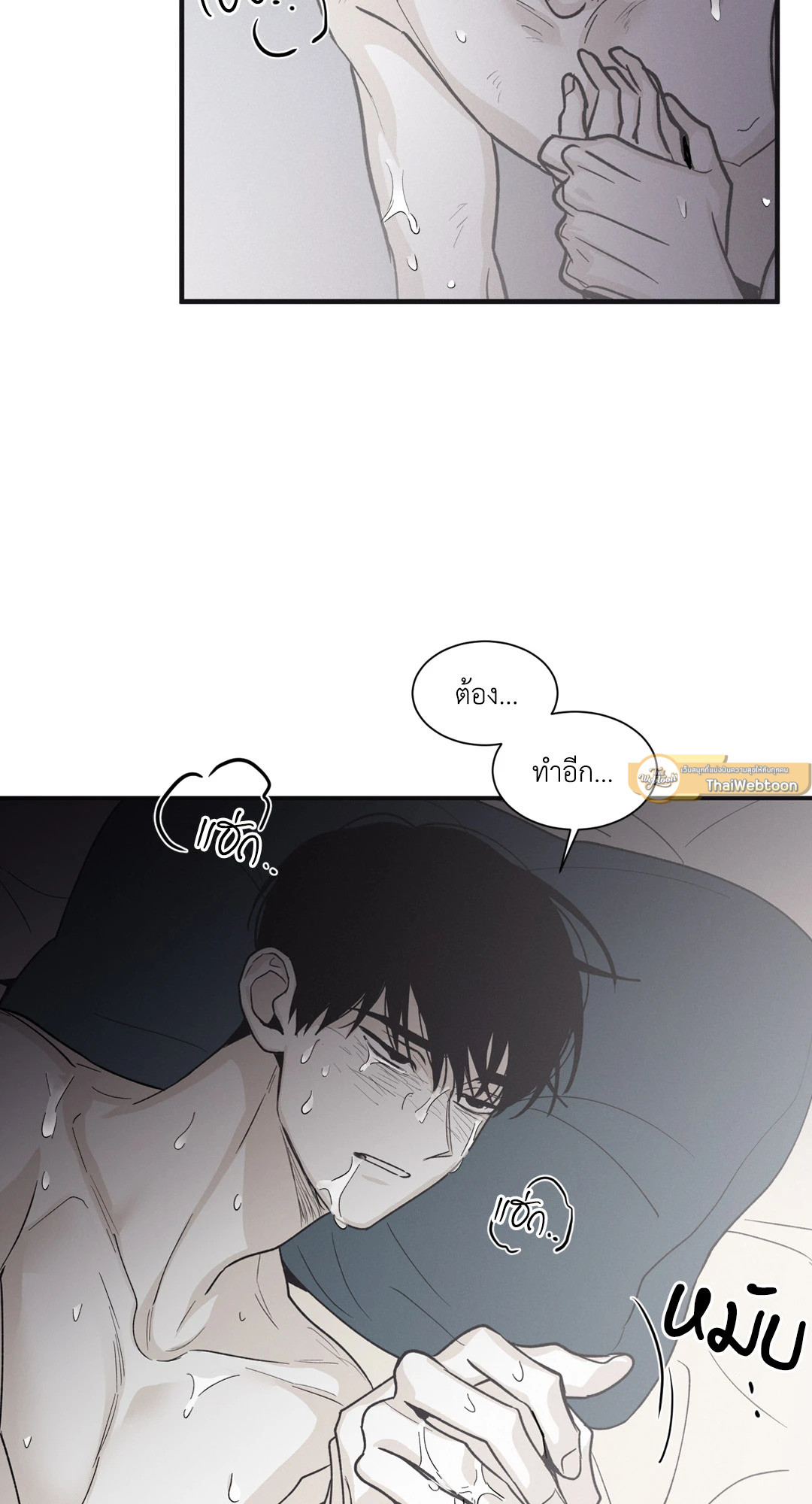 หน้า 61