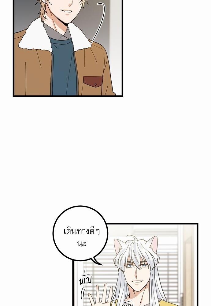 มารักกับเหมียวมั้ยครับ | My One and Only Cat ตอนที่ 17 - รูปที่ 2