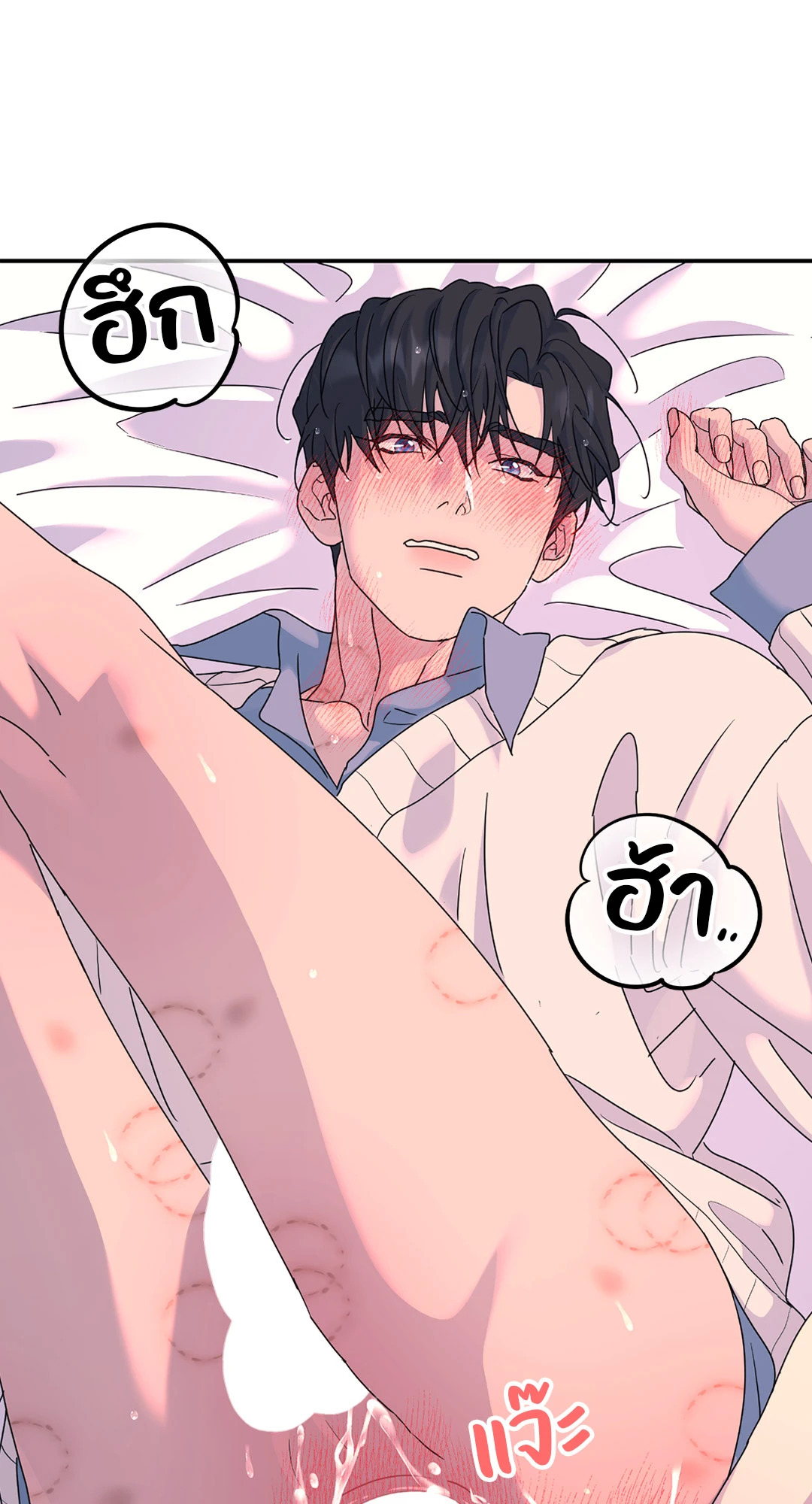 หน้า 43