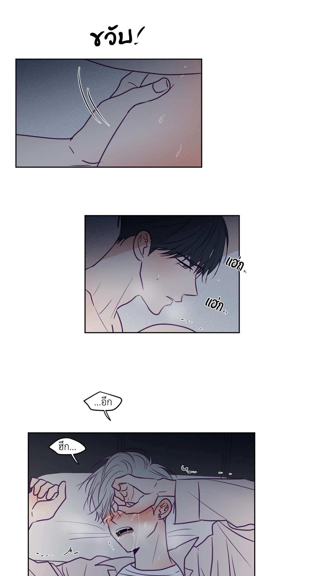 หน้า 31
