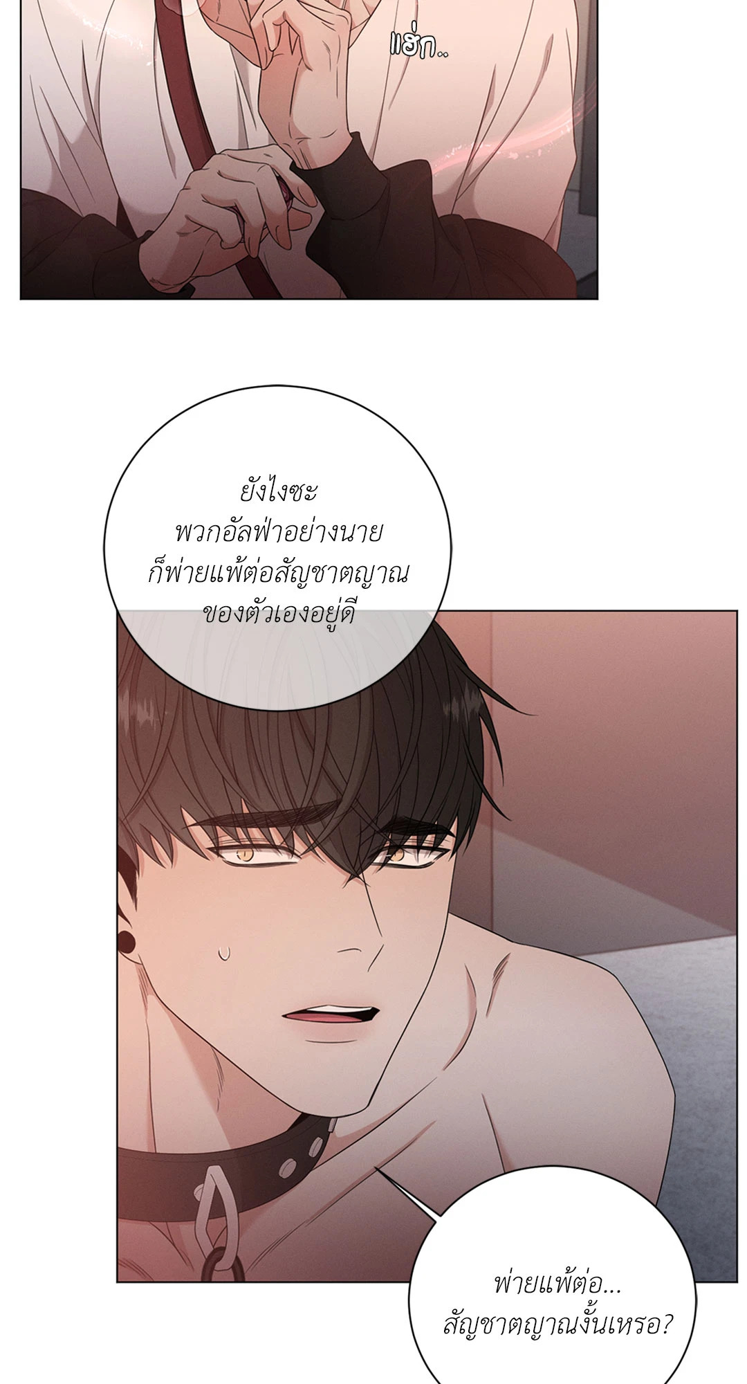 หน้า 52