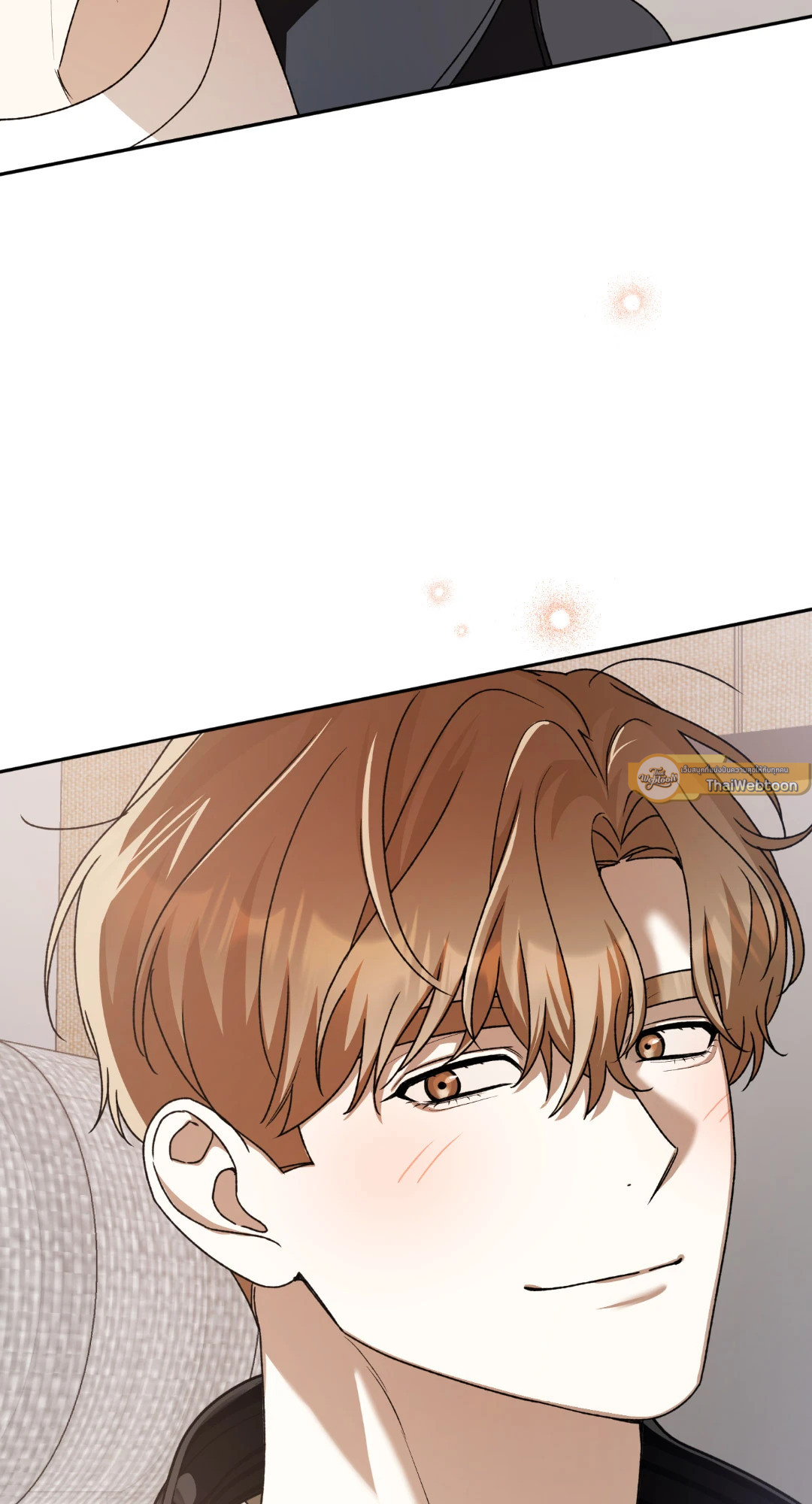 หน้า 102