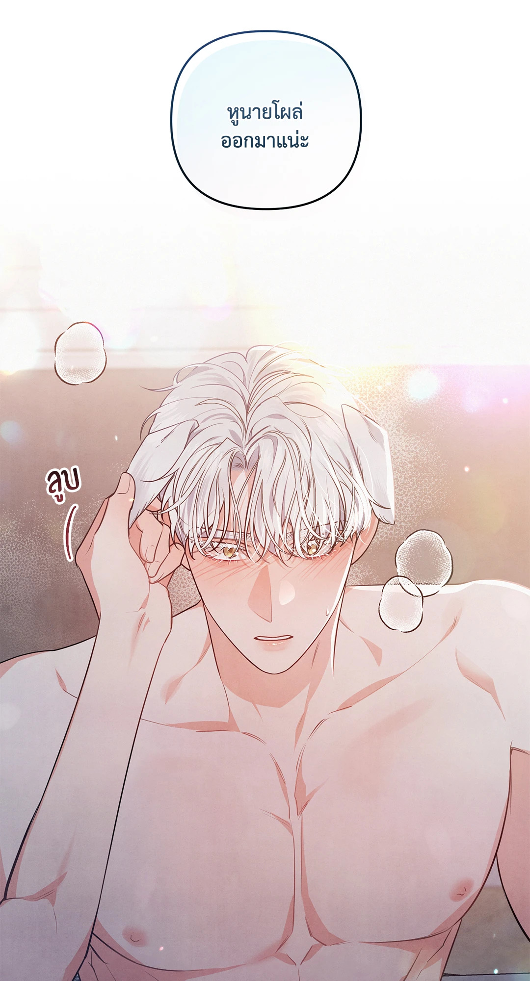 หน้า 61
