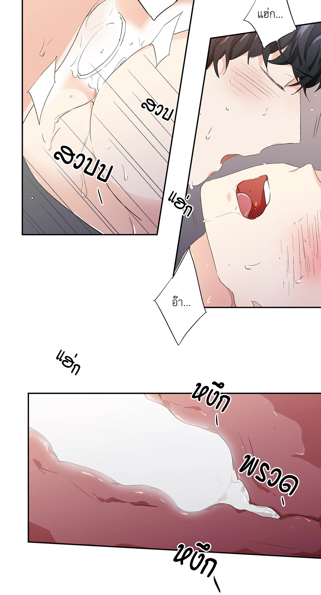หน้า 43