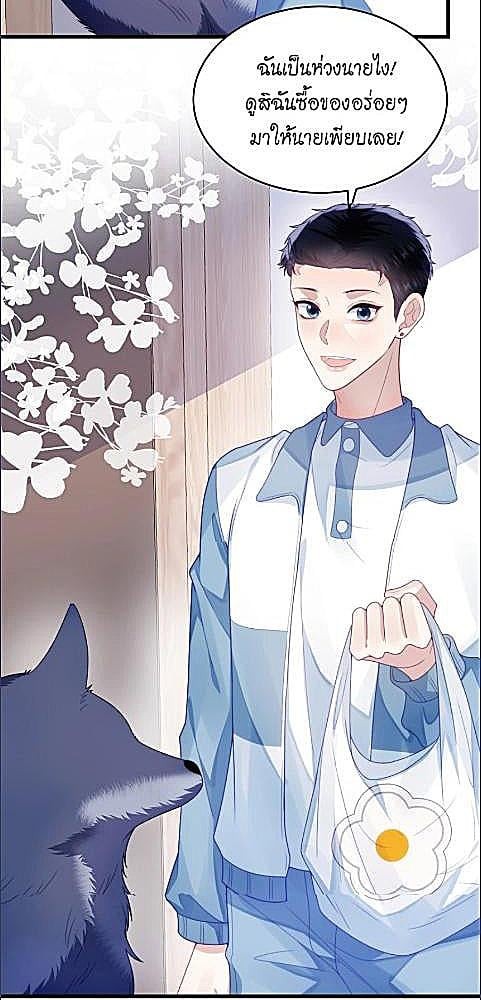 หน้า 29