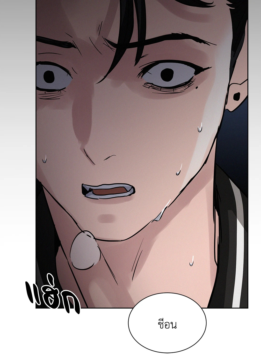 หน้า 48