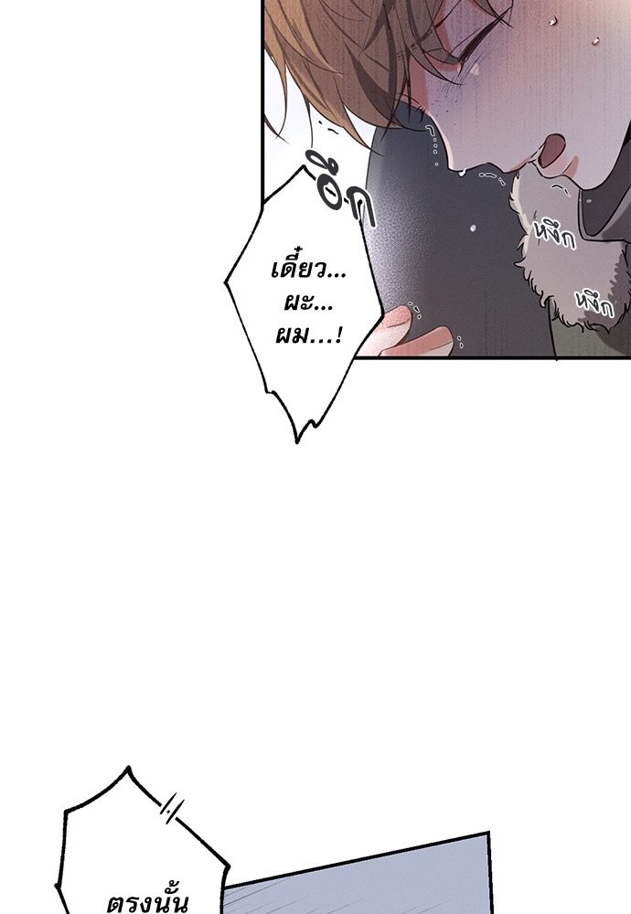 หน้า 95