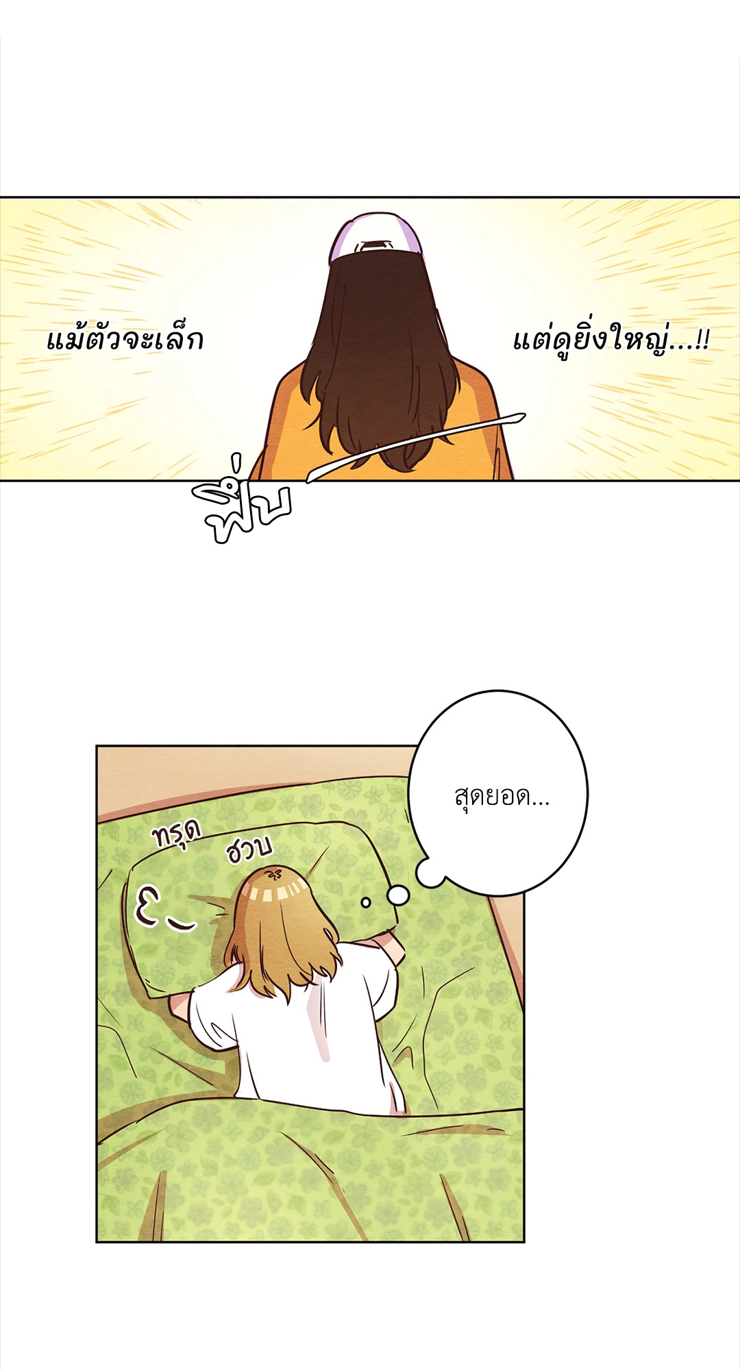 หน้า 29