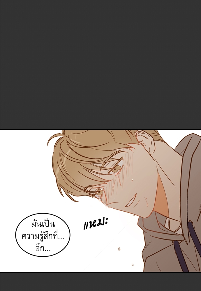 หน้า 81