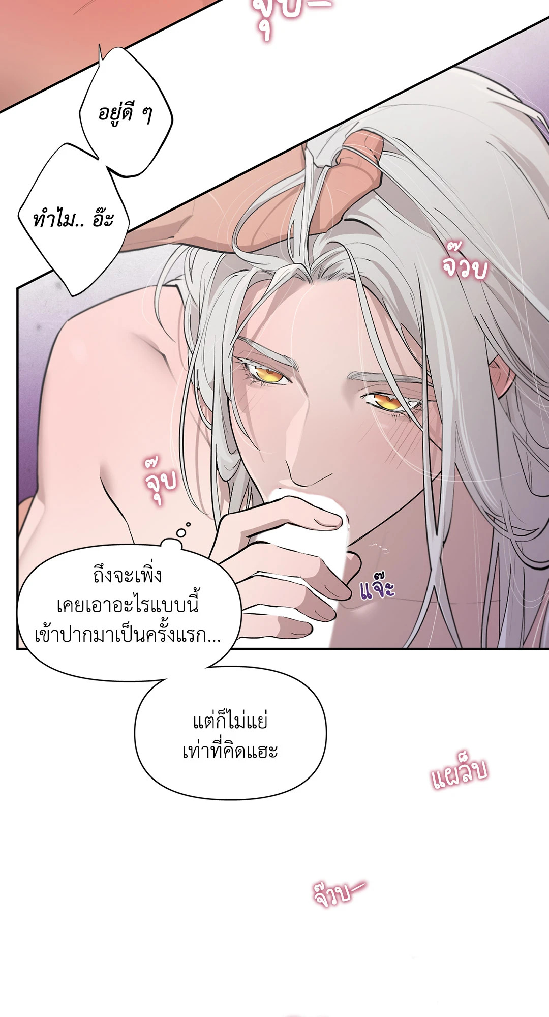 หน้า 29