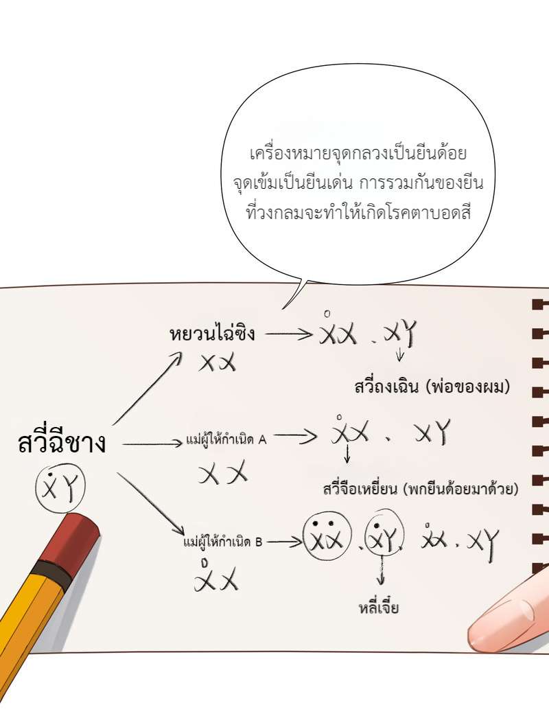 หน้า 28