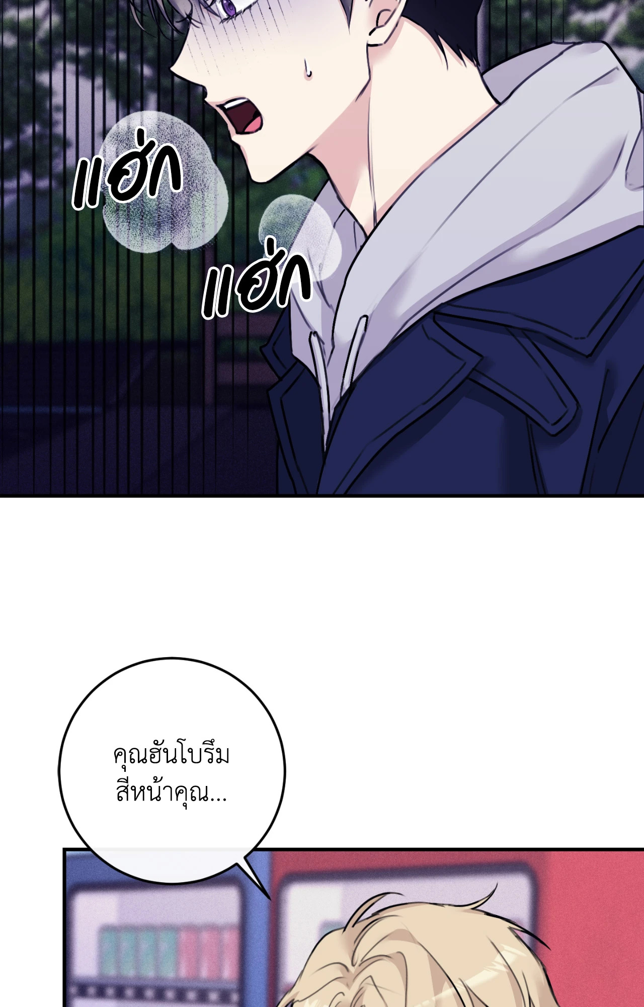 หน้า 29