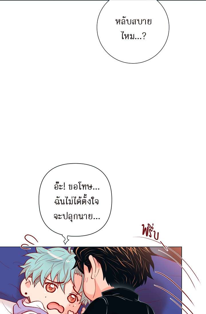 หน้า 46