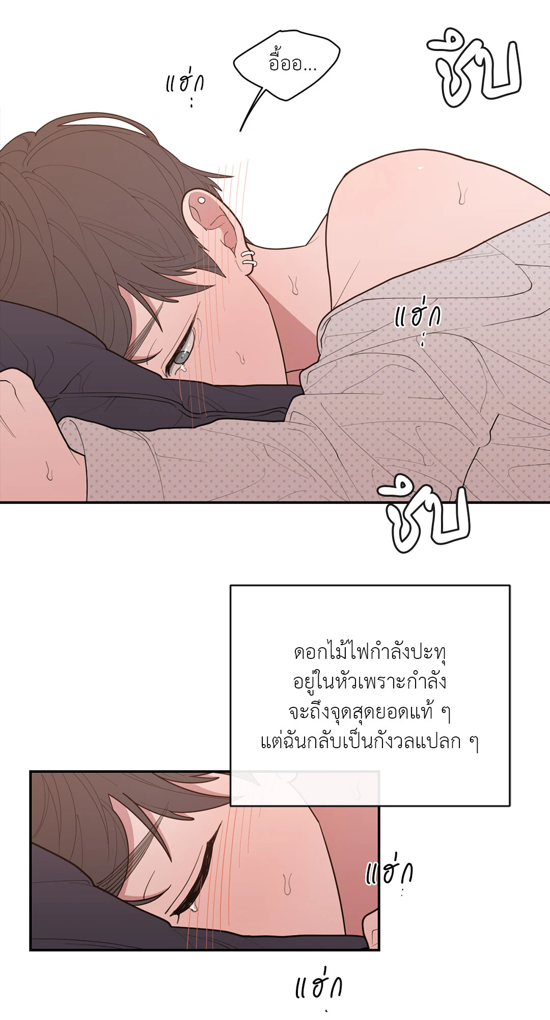 หน้า 51