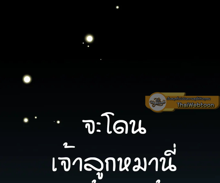 หน้า 146