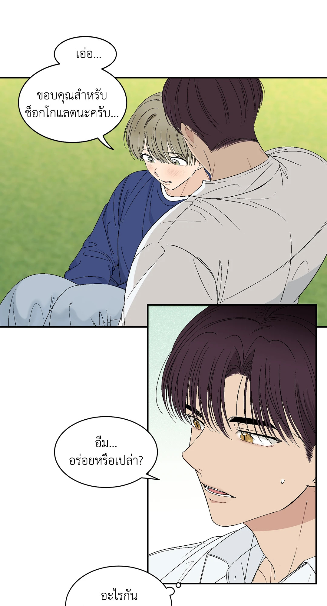หน้า 43
