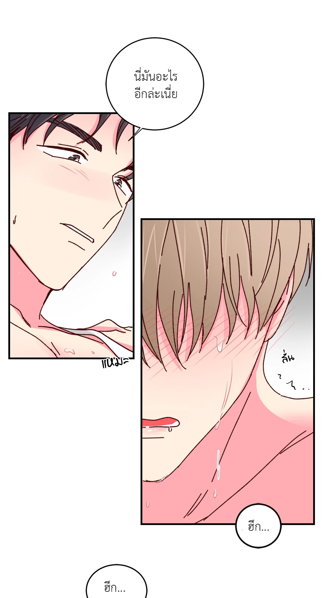 หน้า 66
