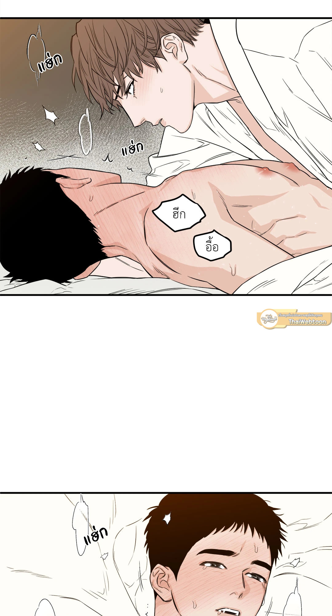 หน้า 43