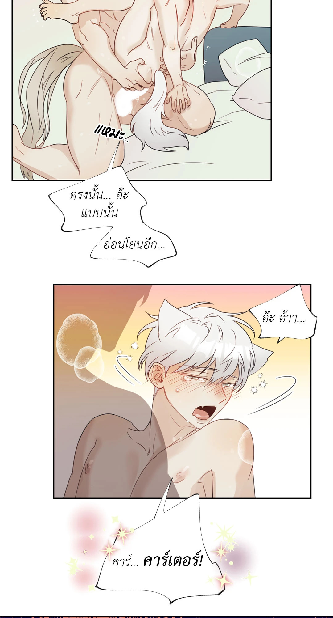 หน้า 45