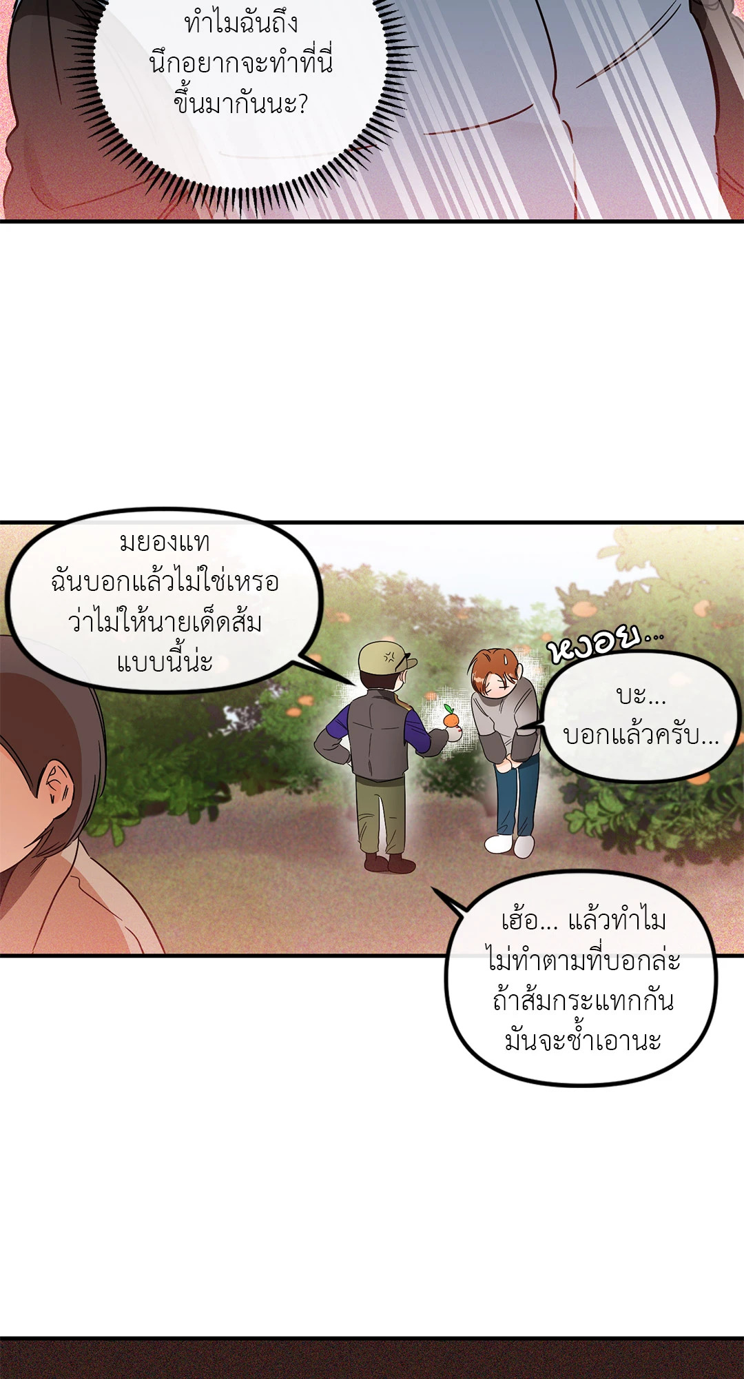 หน้า 49