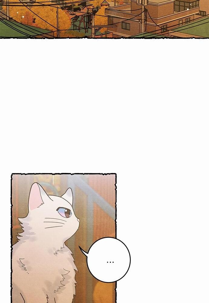 มารักกับเหมียวมั้ยครับ | My One and Only Cat ตอนที่ 25 - รูปที่ 2