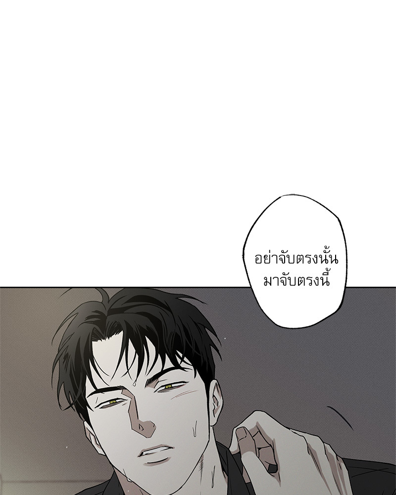 หน้า 101