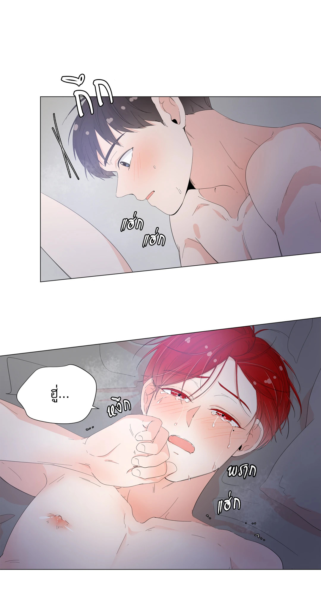 หน้า 29