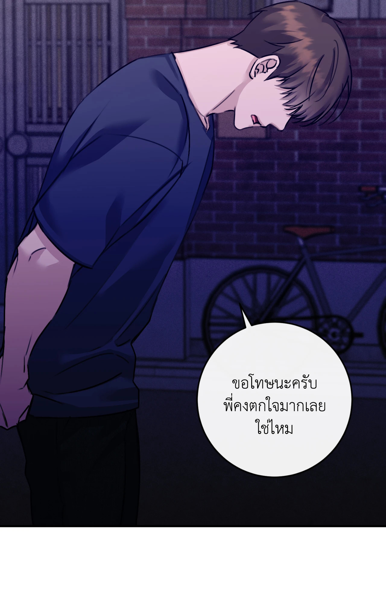 หน้า 43