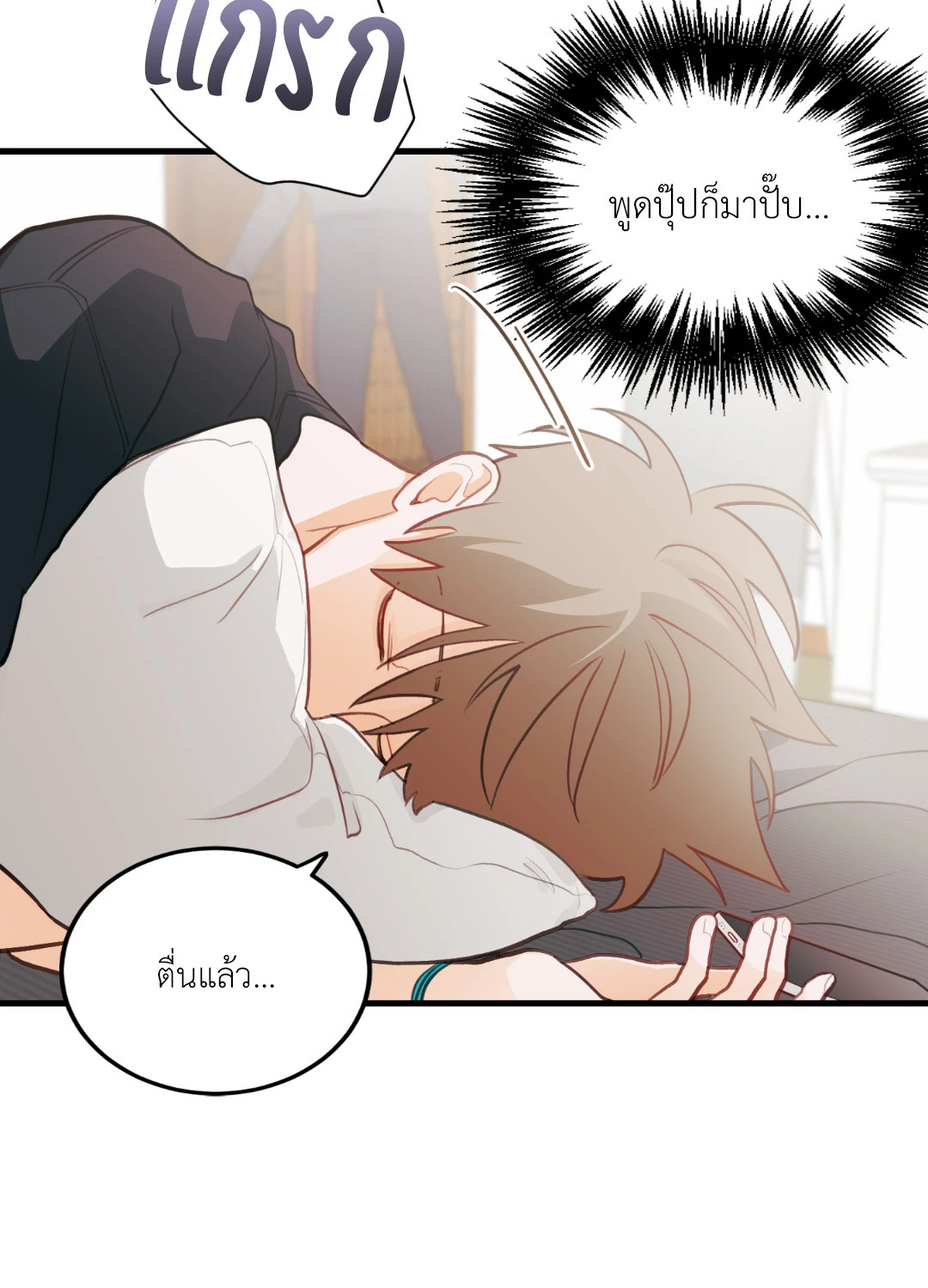 หน้า 43