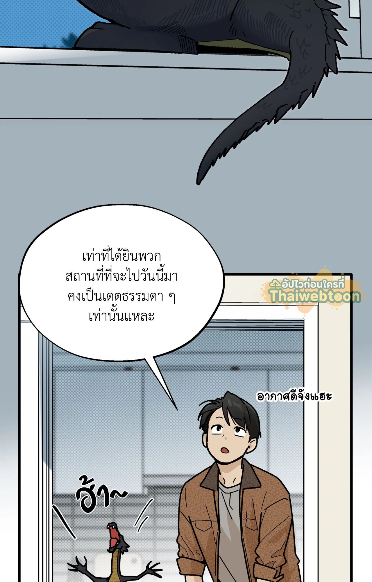 หน้า 43