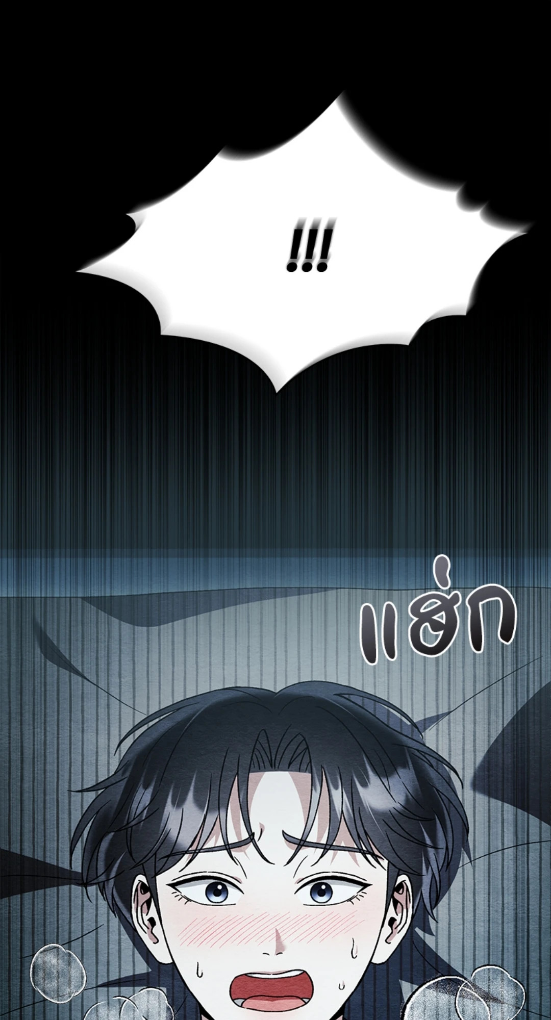 หน้า 43
