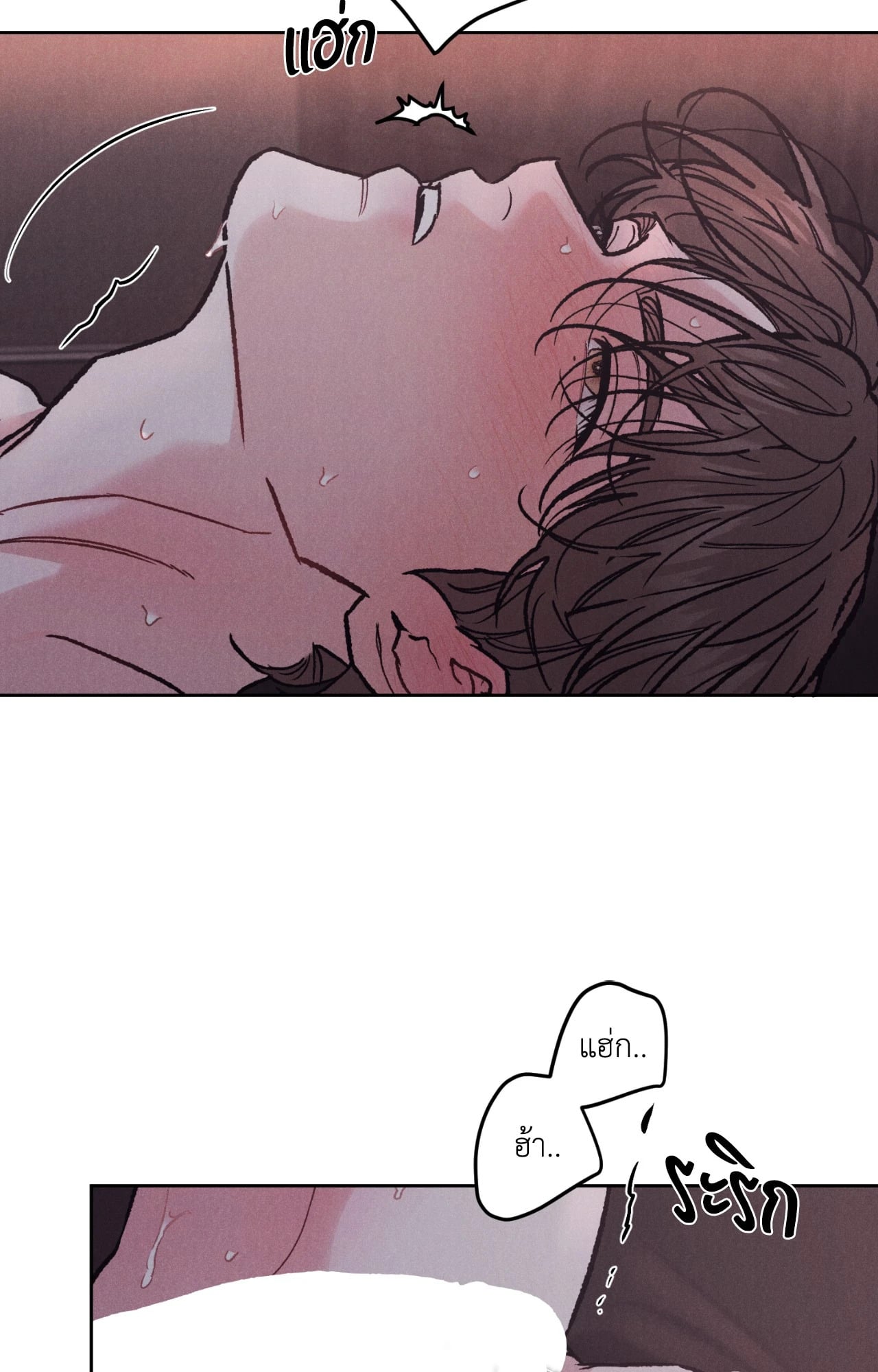 หน้า 66