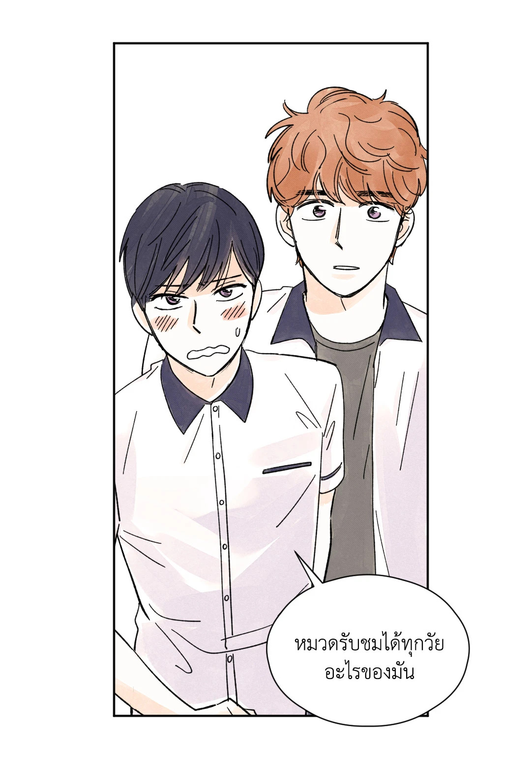 หน้า 49